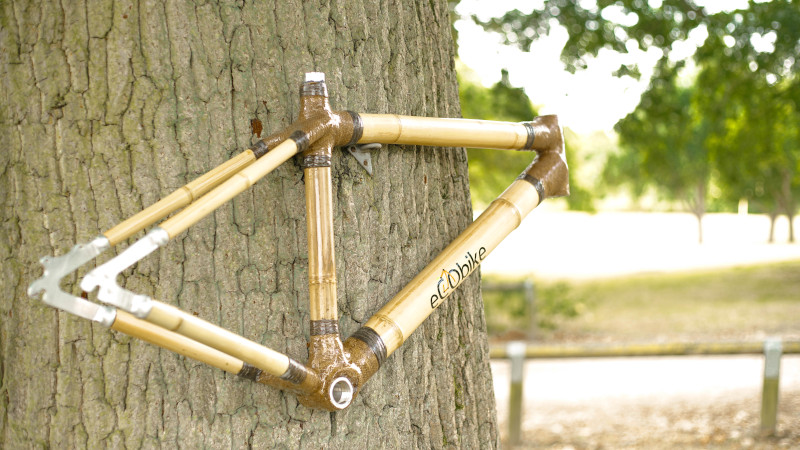 Bike frame exposed on a tree trunk